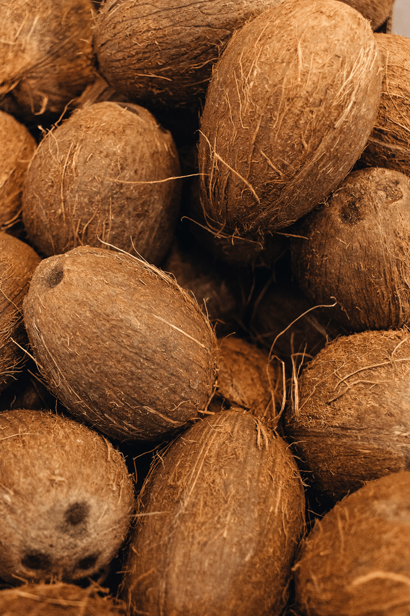 Best Fruits for Cocktails: Flavor Pairings, Liquor Matches, and Seasonal Tips 14 Coconuts