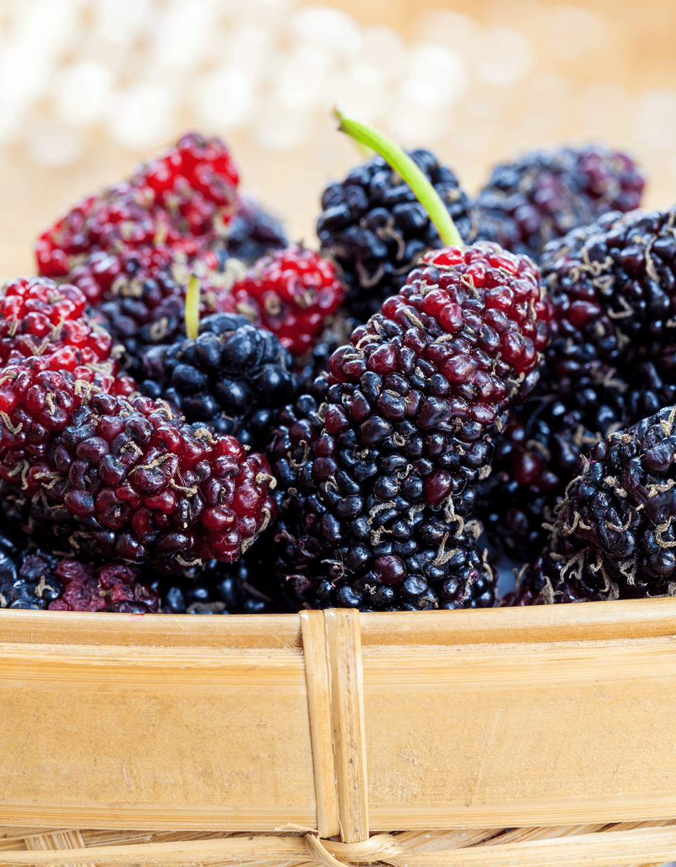 Best Fruits for Cocktails: Flavor Pairings, Liquor Matches, and Seasonal Tips 33 Mulberries