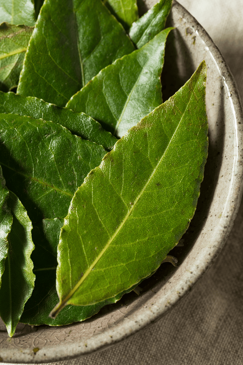 The Ultimate Guide to Using Fresh Herbs in Cocktails 14 Bay leaves for cocktails