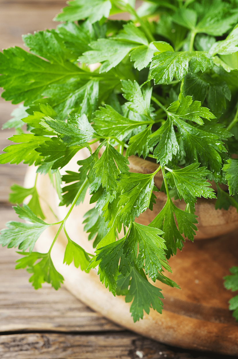 The Ultimate Guide to Using Fresh Herbs in Cocktails 30 Parsley for cocktail recipes