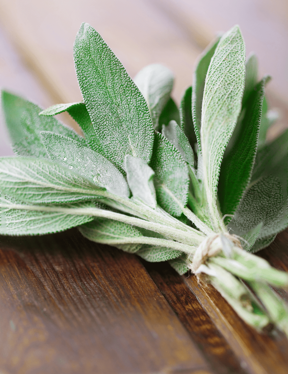 Sage in Cocktails: Earthy, Bold, and Perfect for Cozy Sips 1 Sage for cocktails