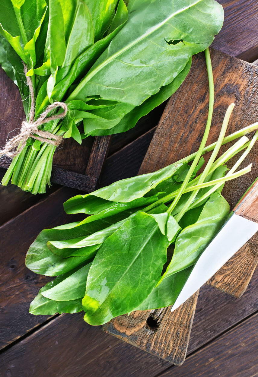 The Ultimate Guide to Using Fresh Herbs in Cocktails 31 Sorrel for cocktail recipes