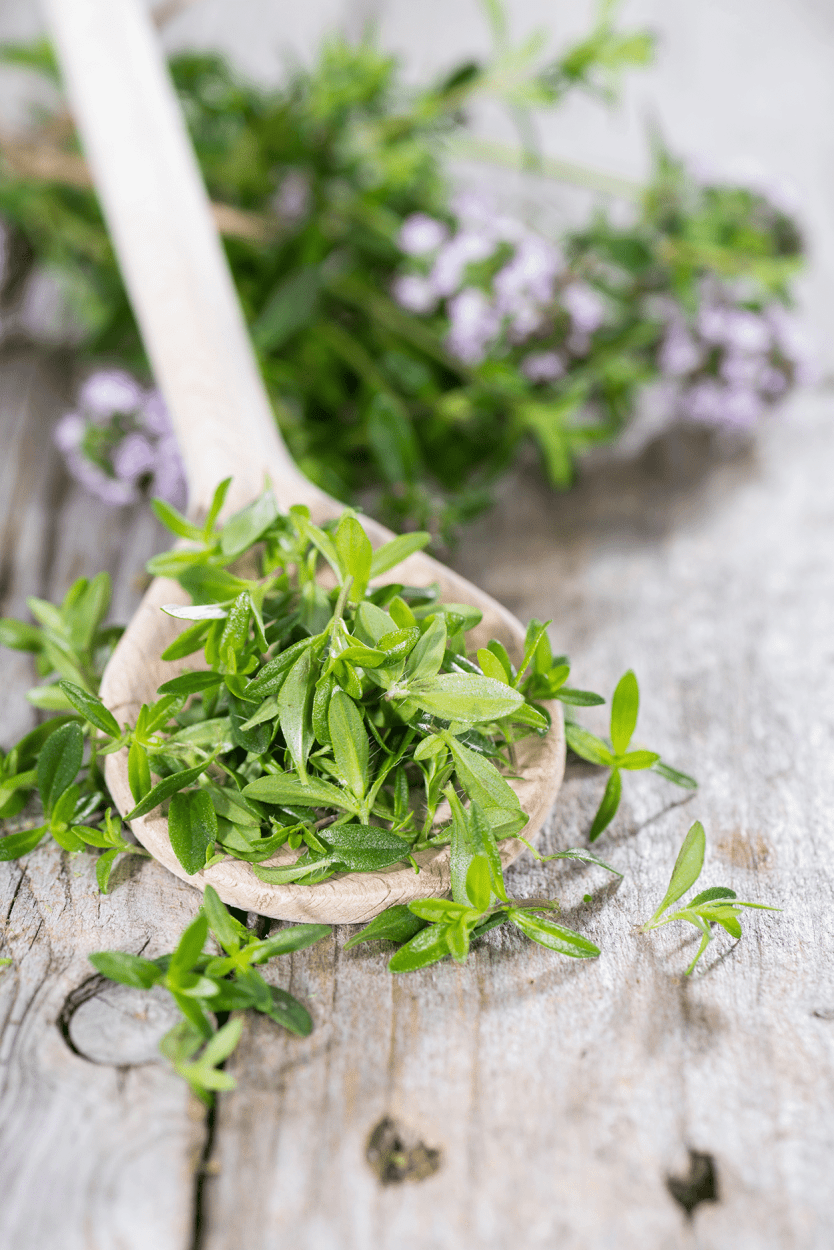 Winter Savory in Cocktails: Peppery Herb for Seasonal Drink Recipes 2 Winter Savory in Cocktails
