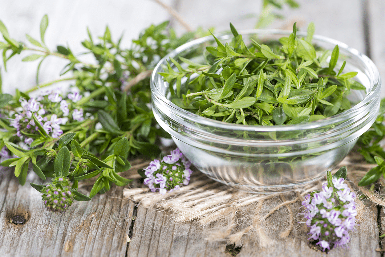 Winter Savory in Cocktails: Peppery Herb for Seasonal Drink Recipes 3 Winter Savory in Cocktails