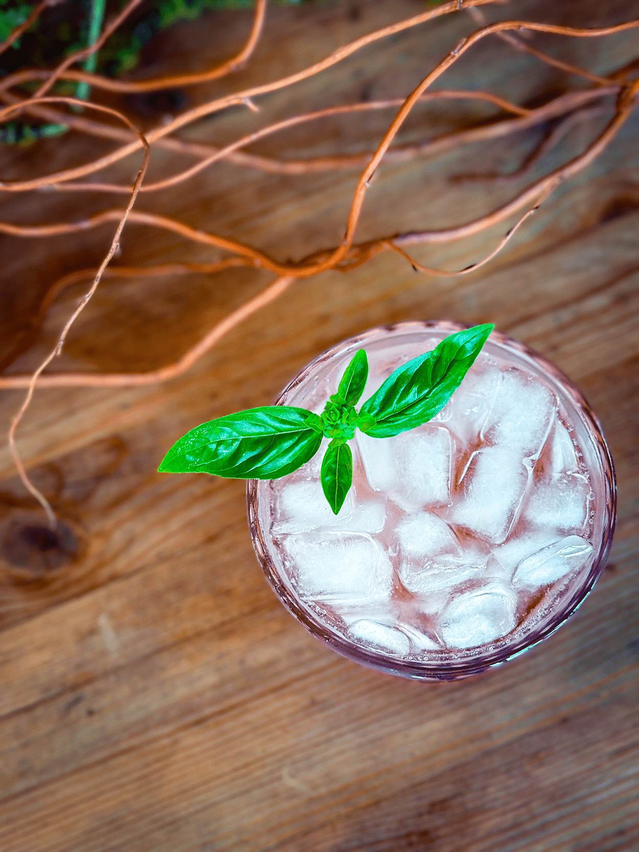 Crown & Petal Cocktail 5 Crown and Petal Cocktail Recipe
