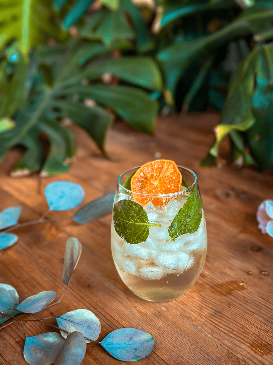 Orange Blossom Spritz 1 orange blossom spritz cocktail recipe