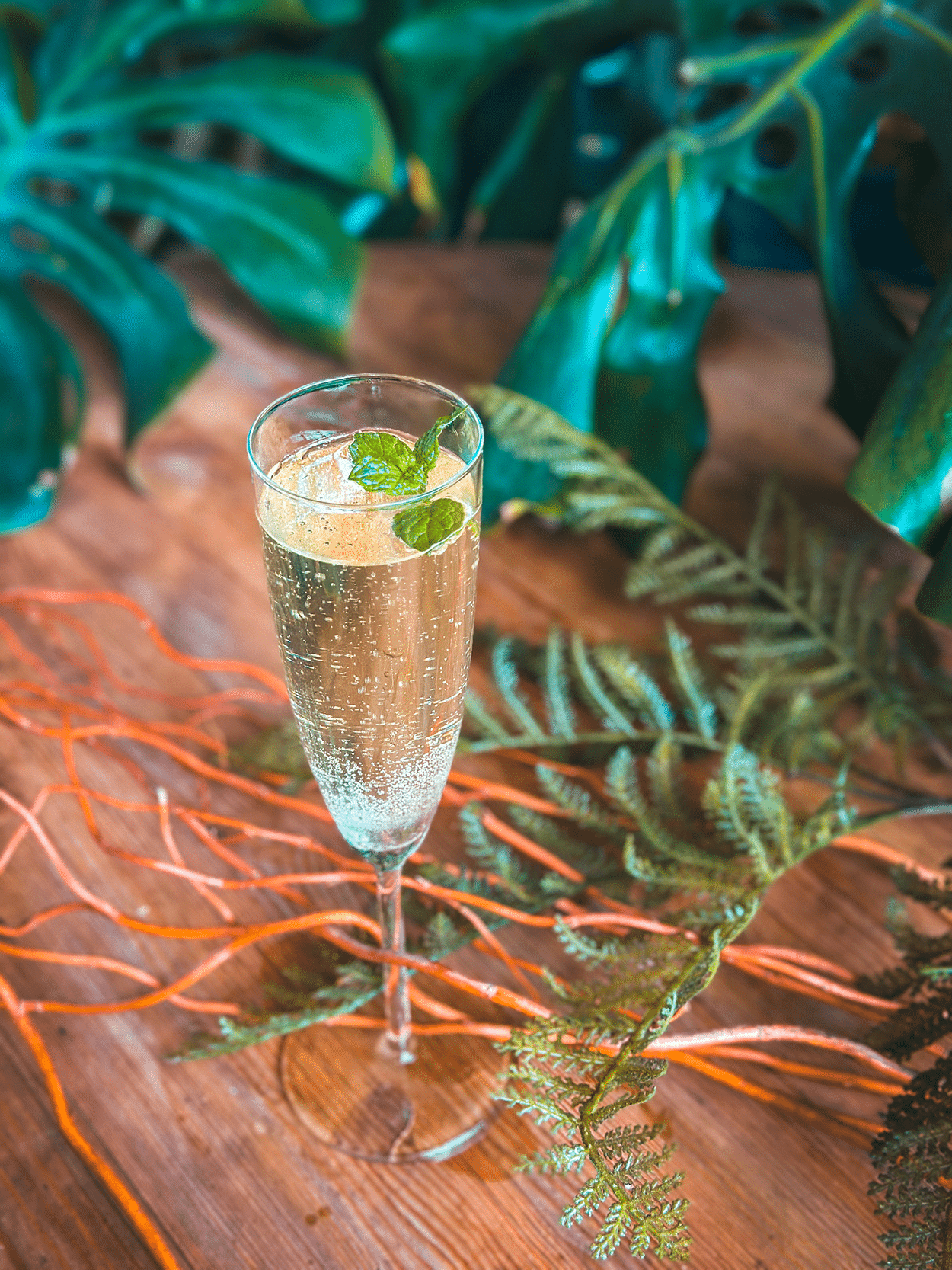Emerald Garden Fizz 5 The Little Emerald Garden Spritz cocktail Recipe