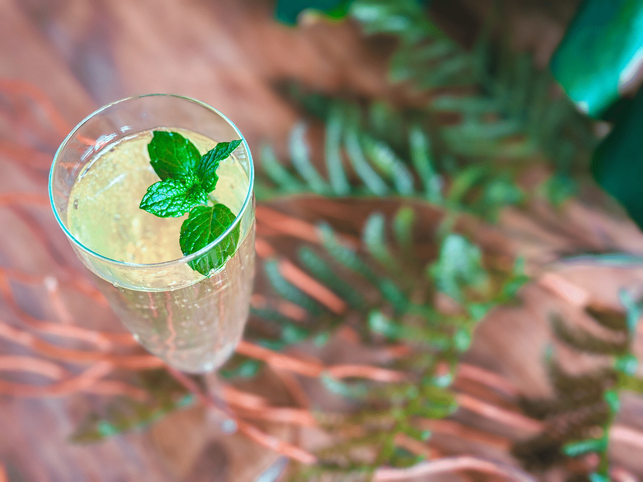 Emerald Garden Fizz 3 The Little Emerald Garden Spritz cocktail Recipe