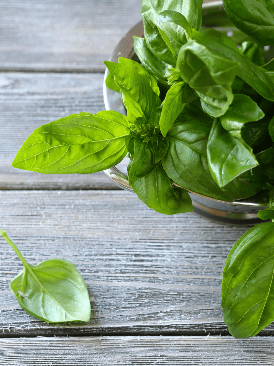 How to Use Basil in Cocktail Recipes 6 basil leaves