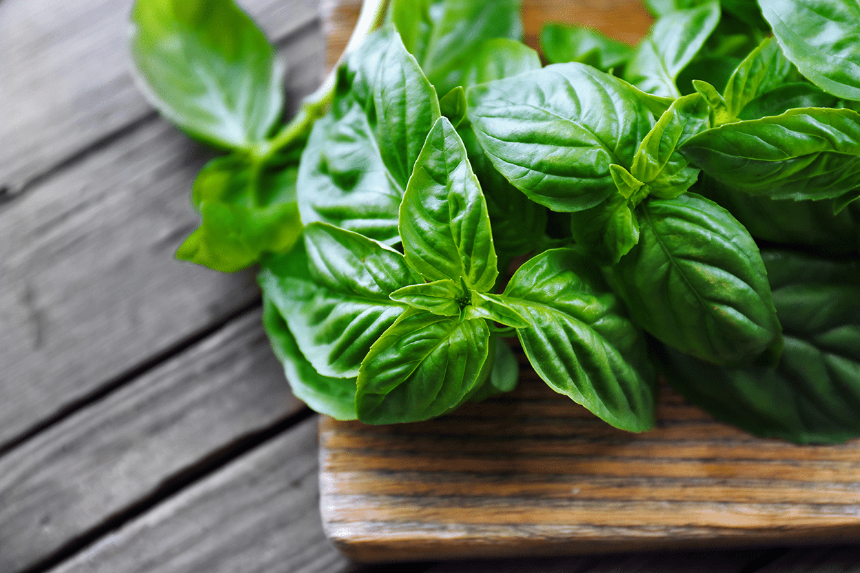 How to Use Basil in Cocktail Recipes 4 Basil leaves