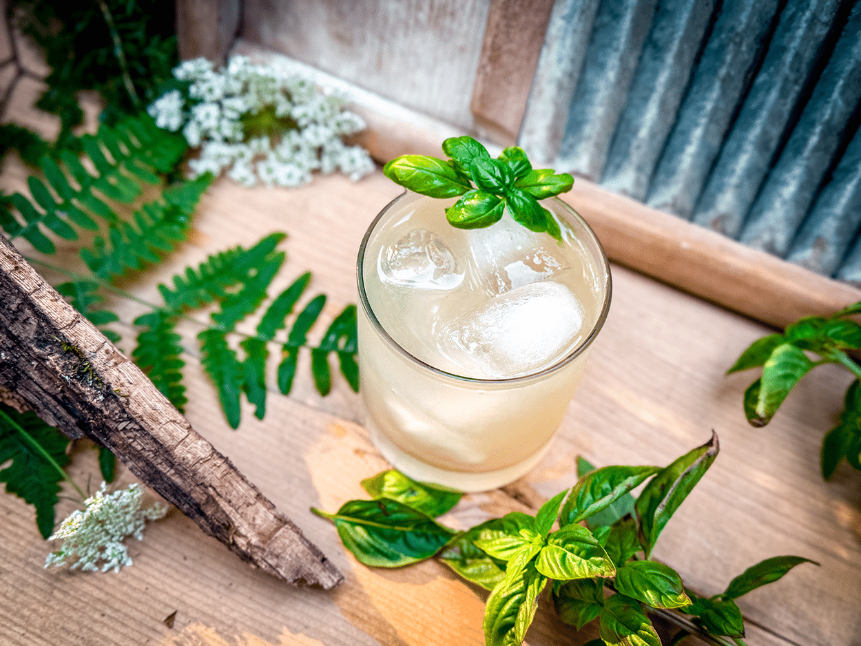 Basil Gin Smash 2 Basil Gin Smash