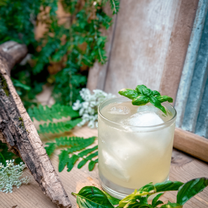 Basil Gin Smash 5 Basil Gin Smash
