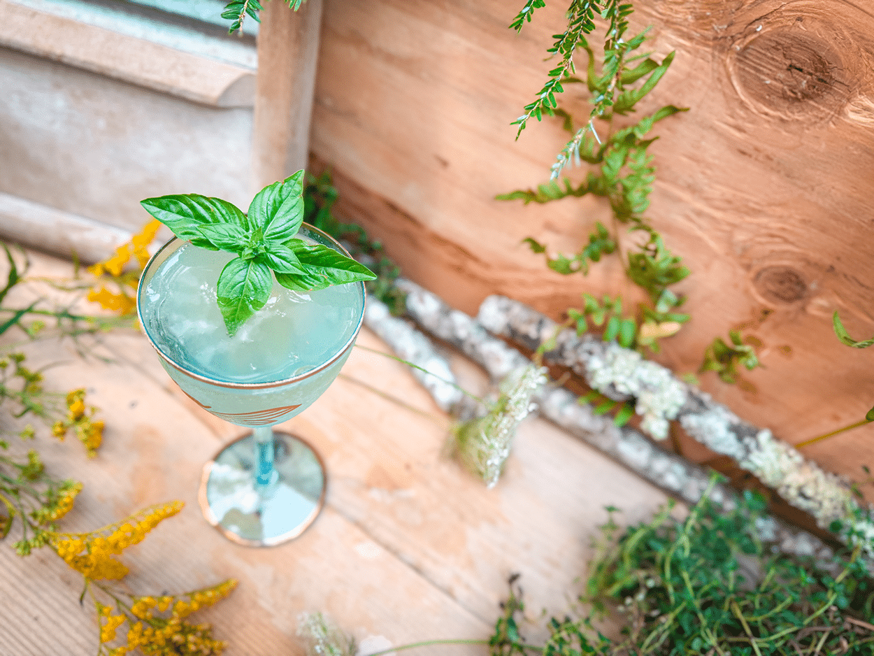 Herb Garden Spritz (Basil Spritz) 1 Herb Garden Spritz (Basil Spritz)
