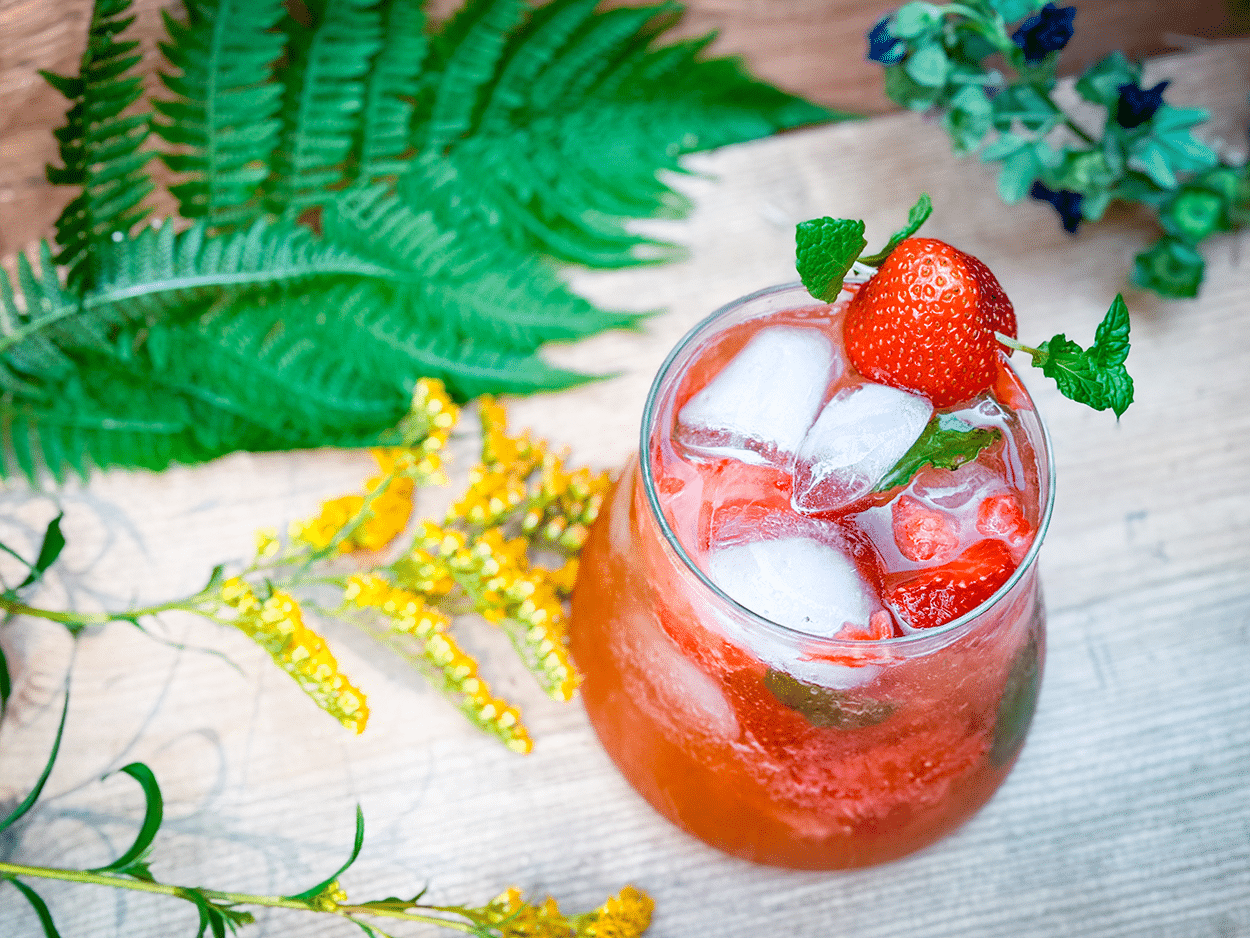 Hot Girl Summer Gin Smash 3 Hot Girls Summer Gin Smash