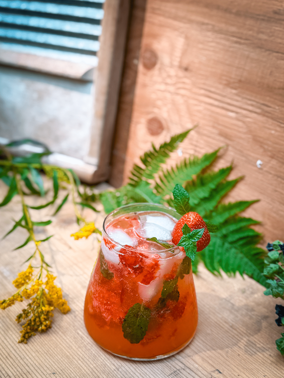 Hot Girl Summer Gin Smash 2 Hot Girls Summer Gin Smash