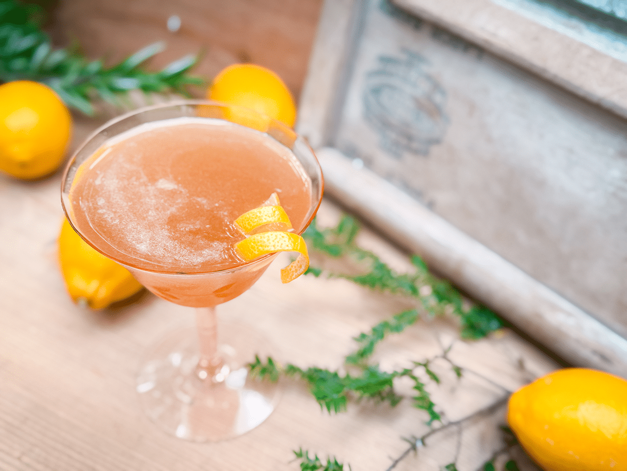 Best Bee's Knees Variations: Honey Cocktails You'll Make Again 11 Hot Honey Bee's Knees Cocktail Recipe