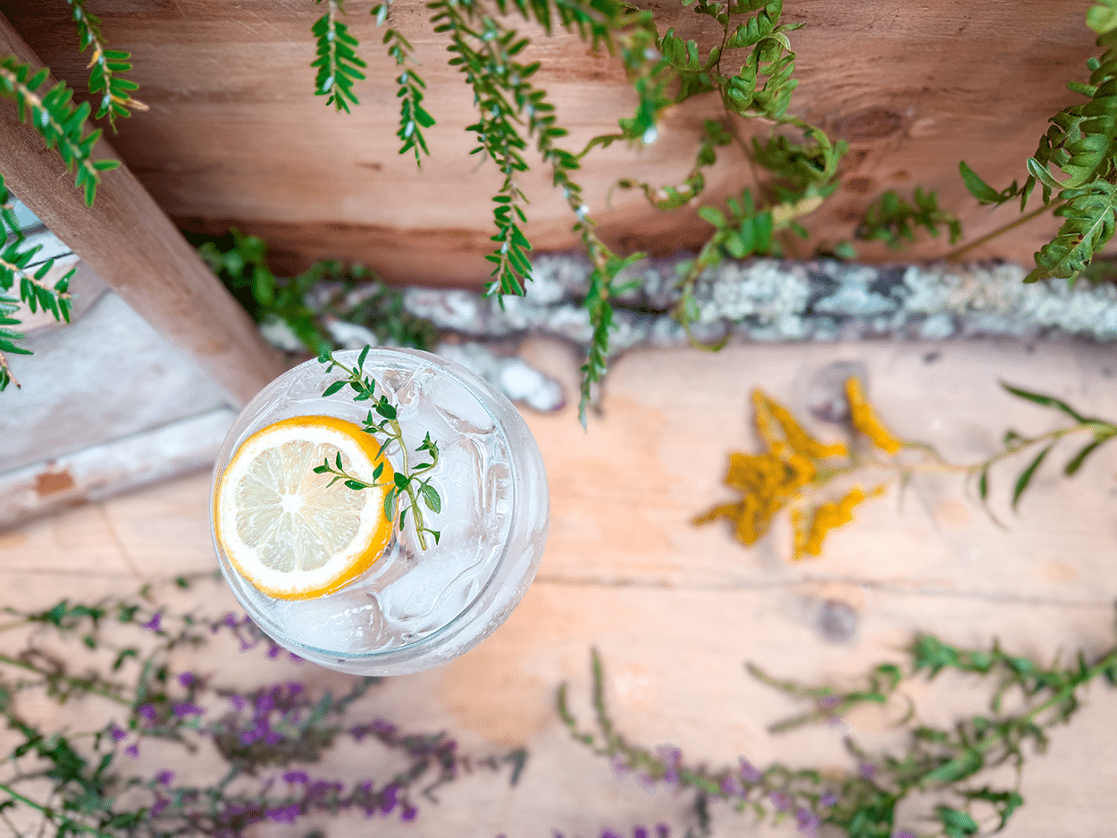 Lemon Thyme Spritz 2 Lemon Thyme Spritz
