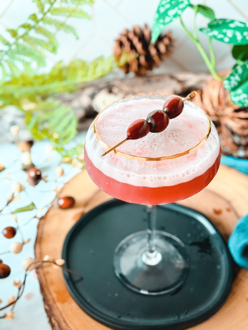 Cranberry Whiskey Sour 4 Cranberry Whiskey Sour cocktail recipe