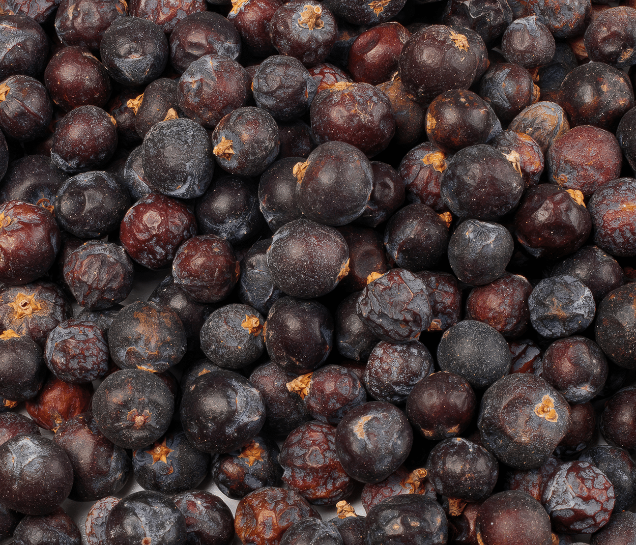 Juniper Simple Syrup 2 Juniper Berries