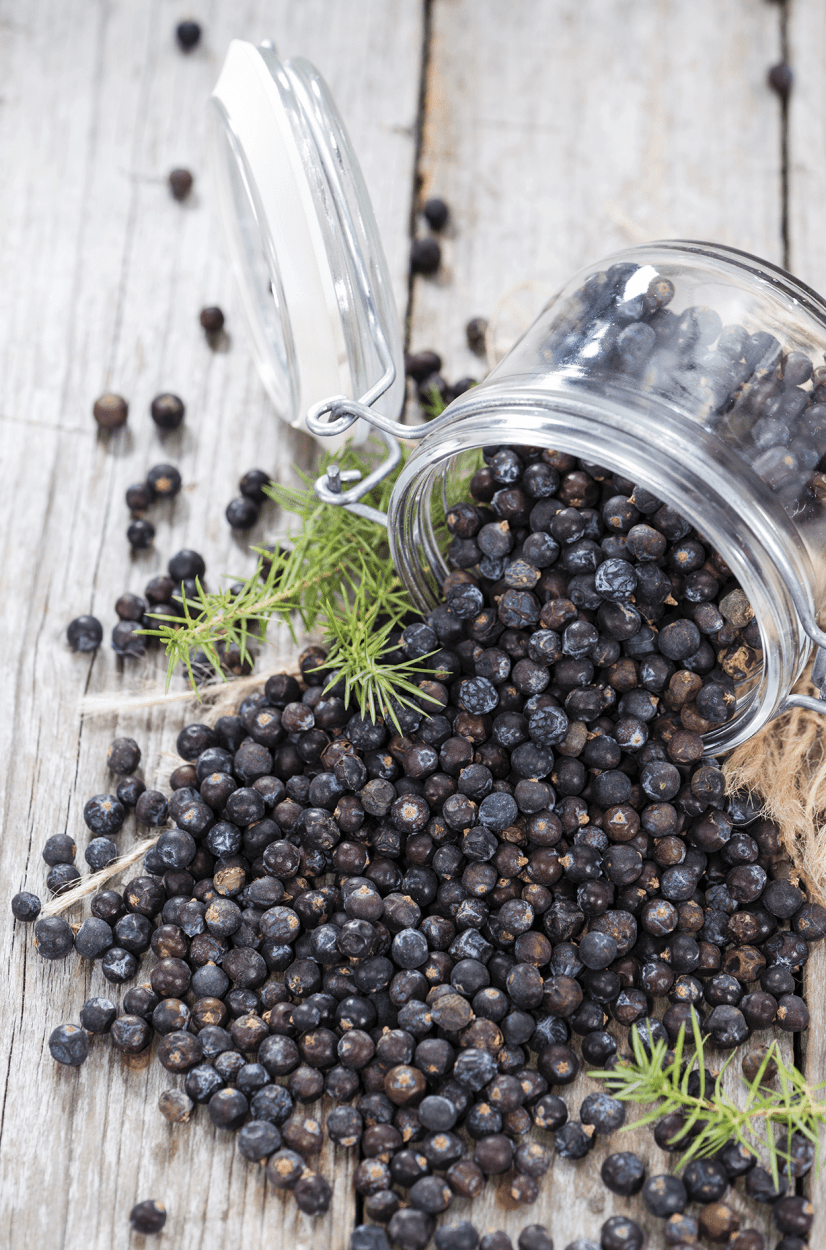Juniper Simple Syrup 1 dried Juniper Berries