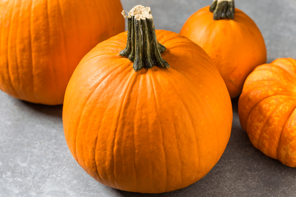 Fresh Pumpkin Simple Syrup 2 Sugar Pie Pumpkins