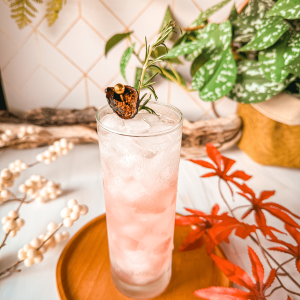 Rosemary Fig Collins 5 Rosemary Fig Collins cocktail recipe