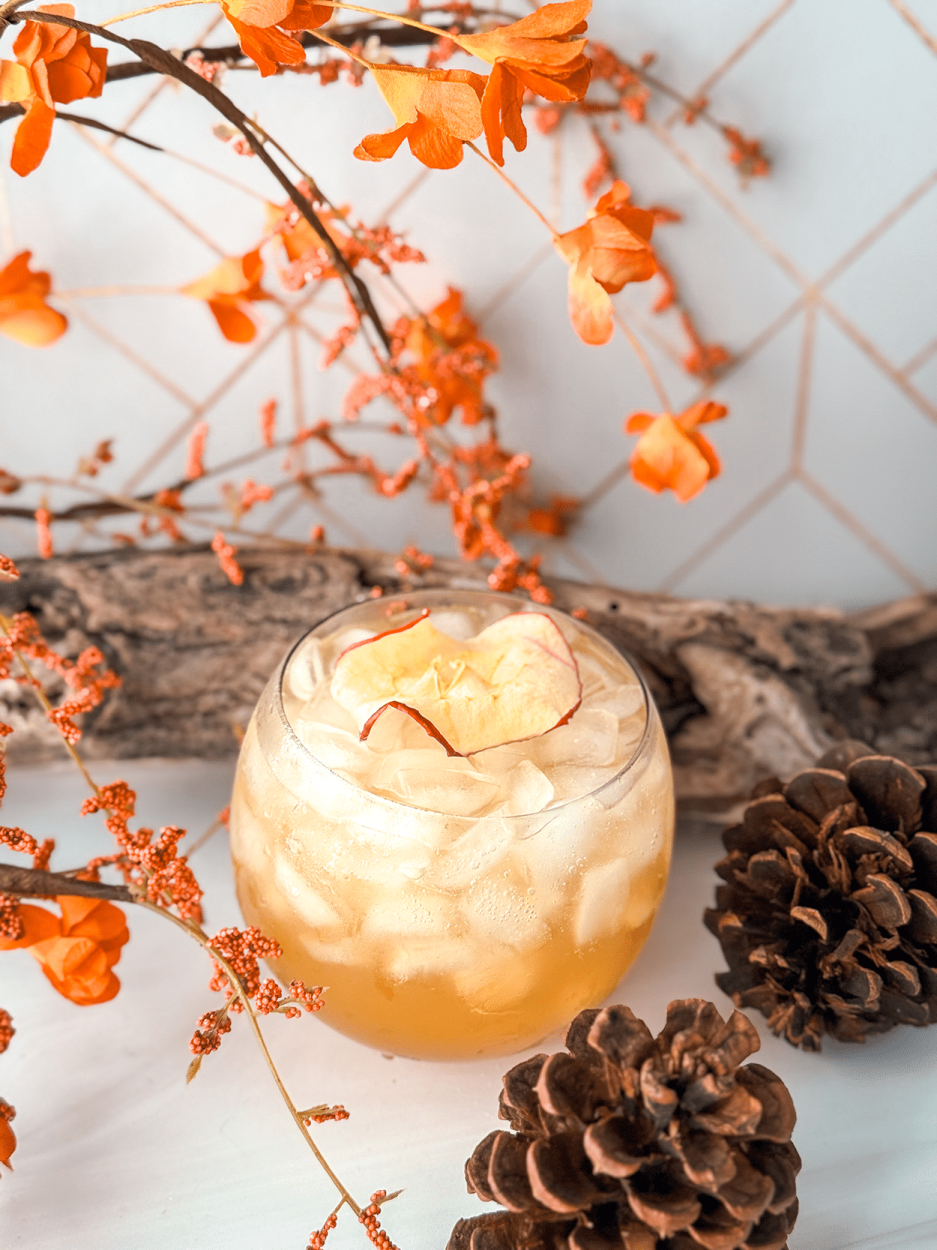 Apple Ginger Mule Mocktail 1 Apple ginger Mule Mocktail