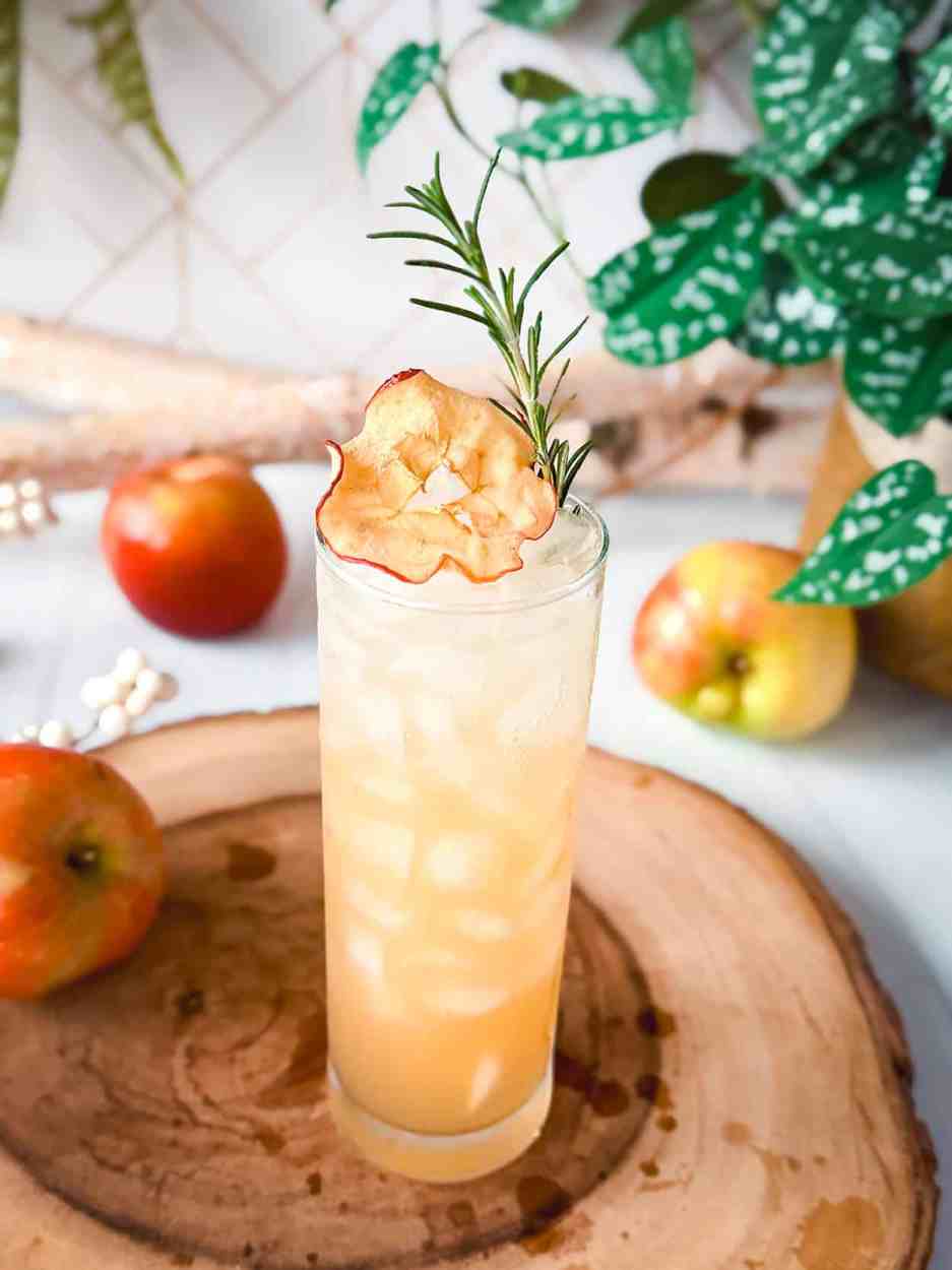Apple Rosemary Gin Fizz 3 Apple Rosemary Gin Fizz cocktail recipe