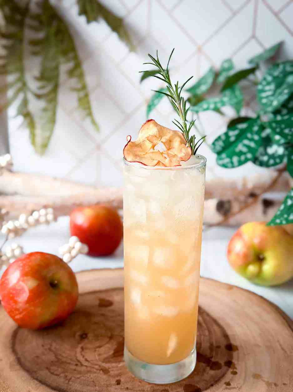 Apple Rosemary Gin Fizz 2 Apple Rosemary Gin Fizz cocktail recipe