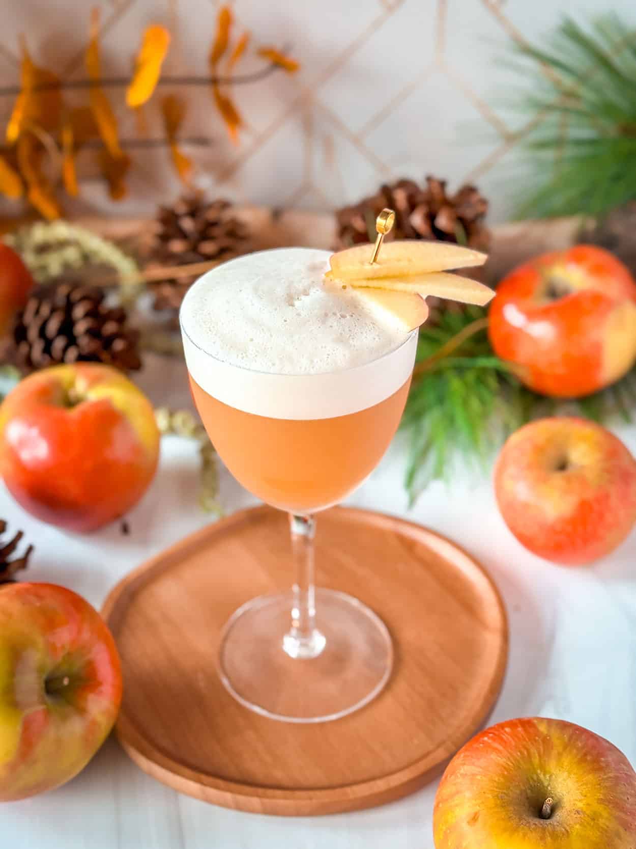 Autumn Harvest Whiskey Sour 5 Autumn Harvest Whiskey Sour cocktail recipe
