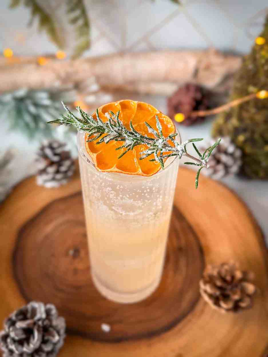 Citrus Rosemary Gin Fizz 1 Citrus Rosemary gin fizz cocktail recipe