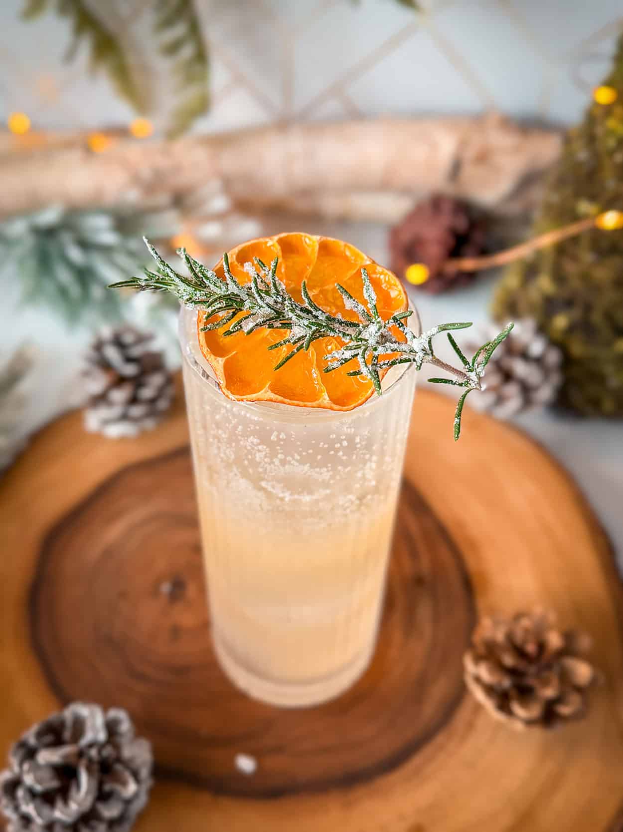Citrus Rosemary Gin Fizz 5 Citrus Rosemary gin fizz cocktail recipe