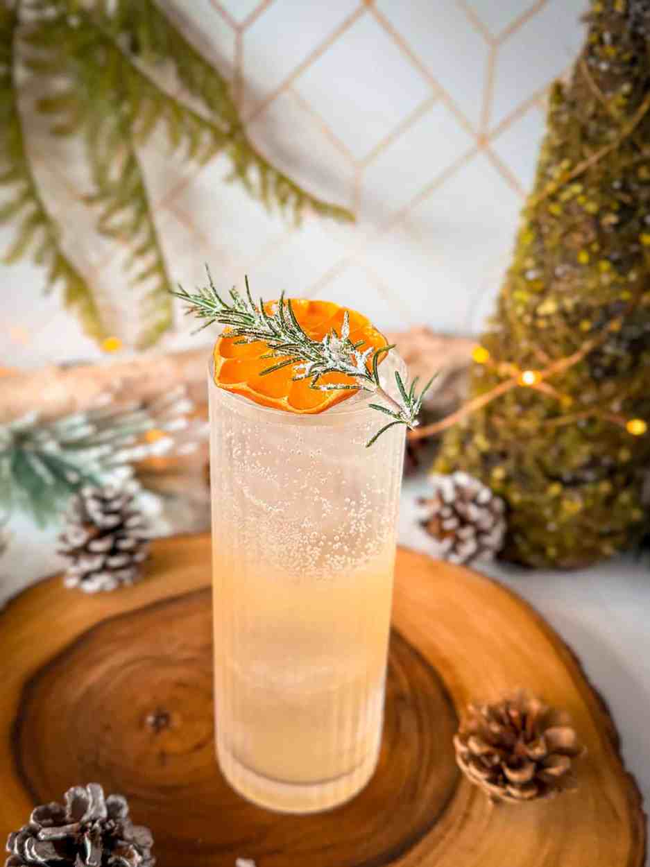 Citrus Rosemary Gin Fizz 3 Citrus Rosemary gin fizz cocktail recipe