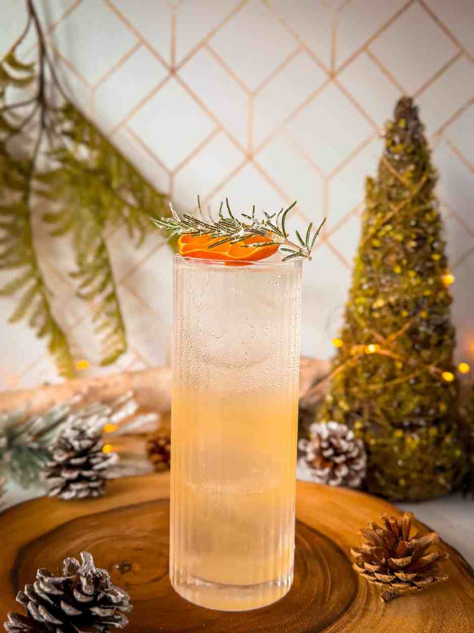 Citrus Rosemary Gin Fizz 2 Citrus Rosemary gin fizz cocktail recipe