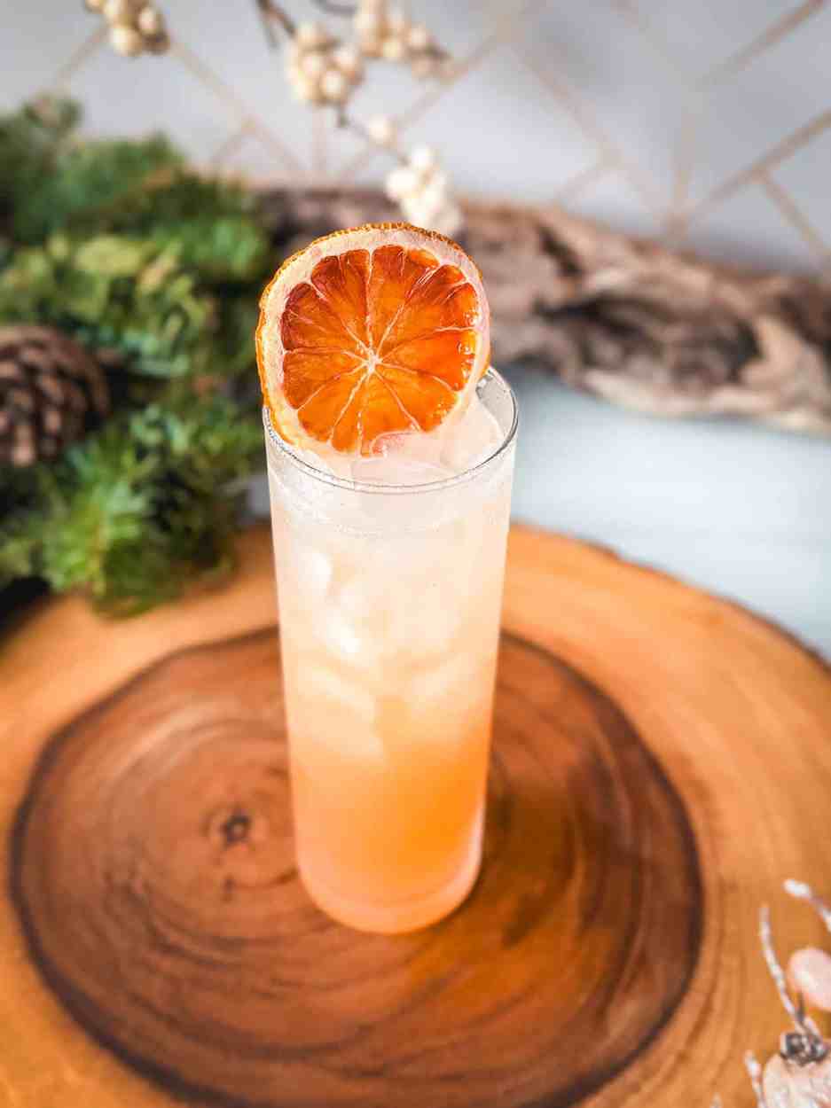 Plum Cinnamon Spritz 1 Plum Cinnamon Spritz cocktail recipe