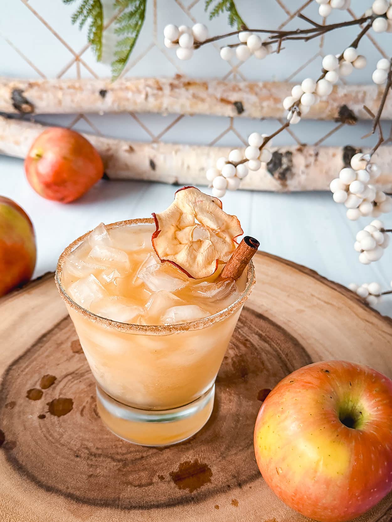 Spiced Apple Cider Margarita 6 Spiced Apple Cider Margarita cocktail recipe