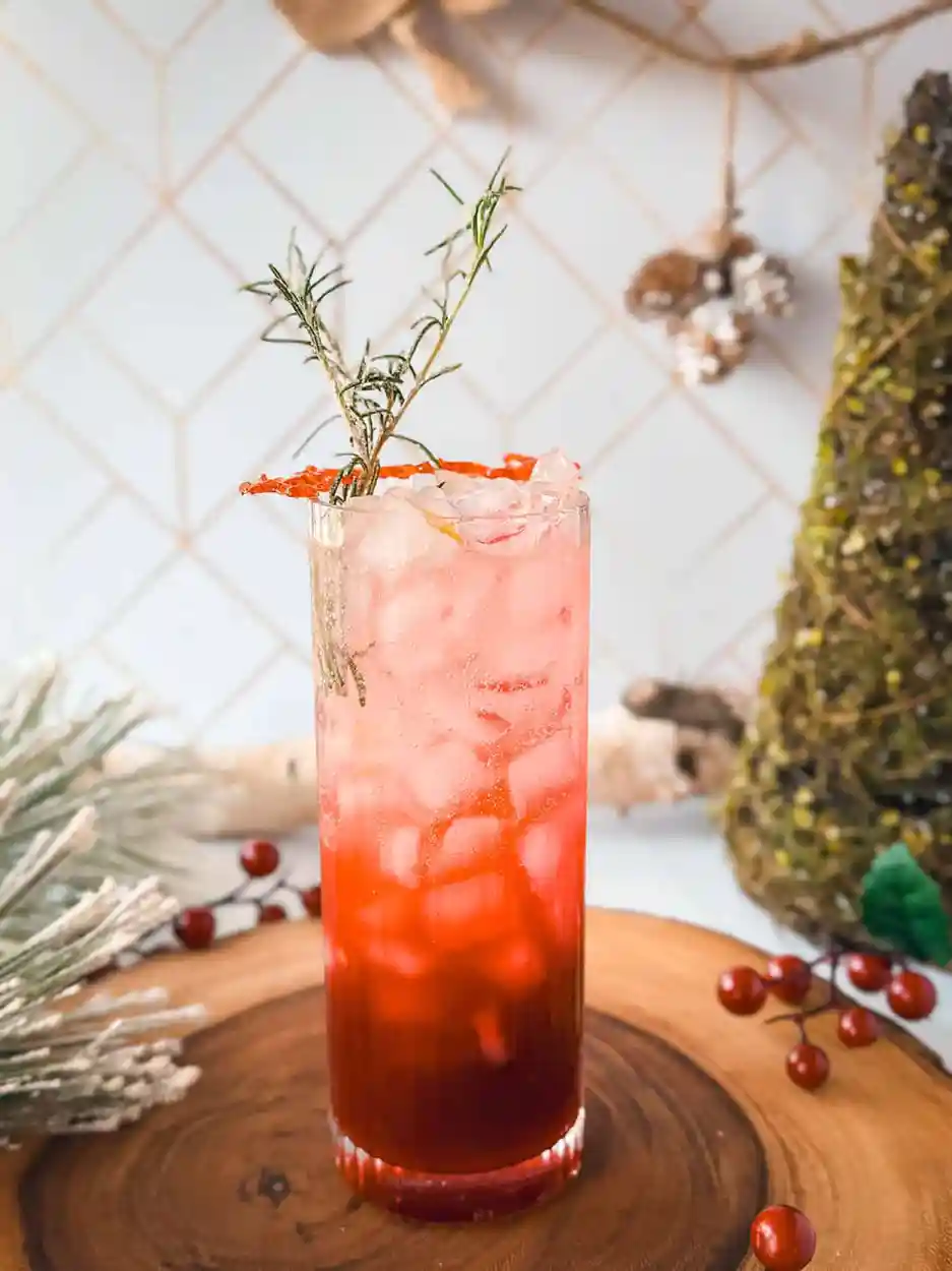Winter Cranberry Spritz Mocktail 2 Winter Cranberry Spritz cocktail recipe