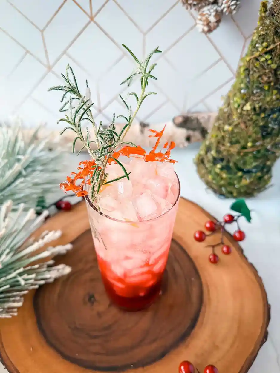 Winter Cranberry Spritz Mocktail 1 Winter Cranberry Spritz cocktail recipe
