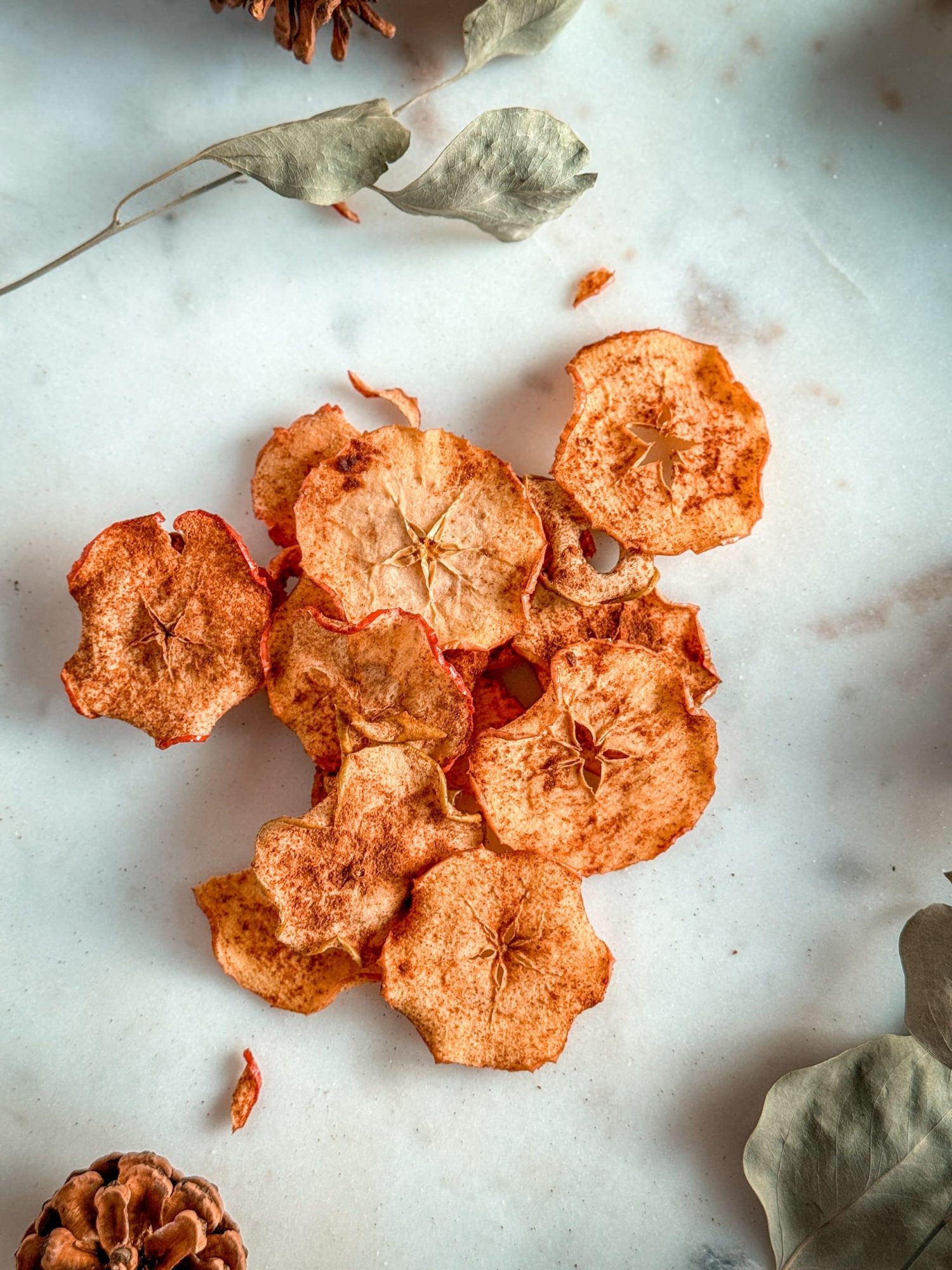 Dried Cinnamon Sugar Apples 7 Dried Cinnamon Sugar Apple Chips recipe