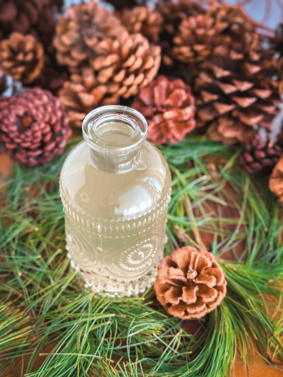 Pine Needle Simple Syrup 5 Pine Needle Simple Syrup Recipe