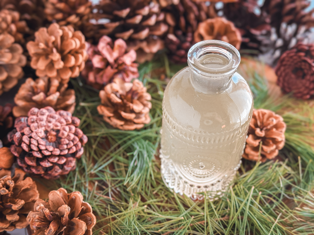 Pine Needle Simple Syrup 3 Pine Needle Simple Syrup Recipe