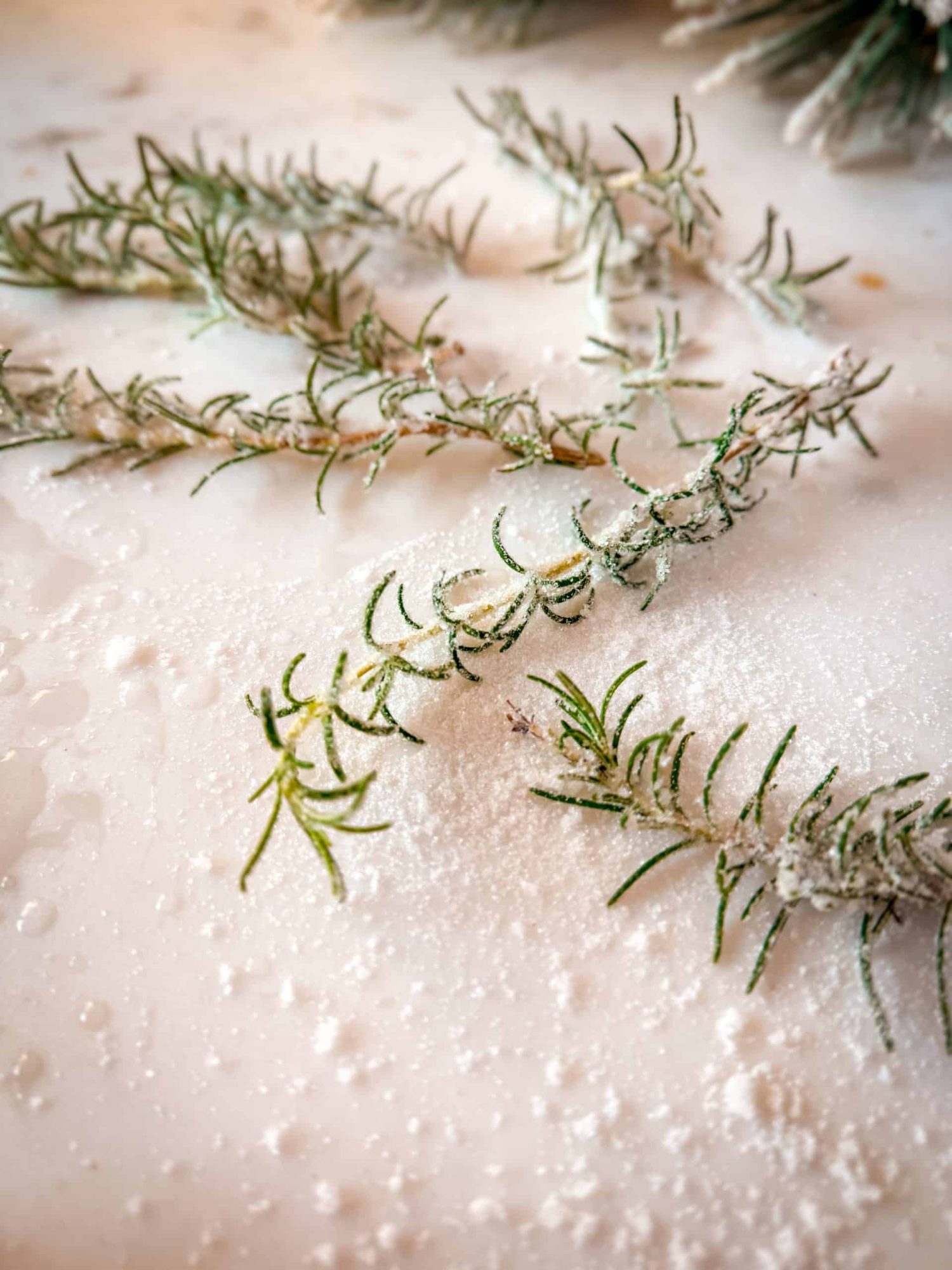 Sugared Rosemary 4 Sugared Rosemary recipe