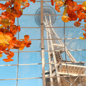 Chihuly Garden and Glass in Seattle, WA