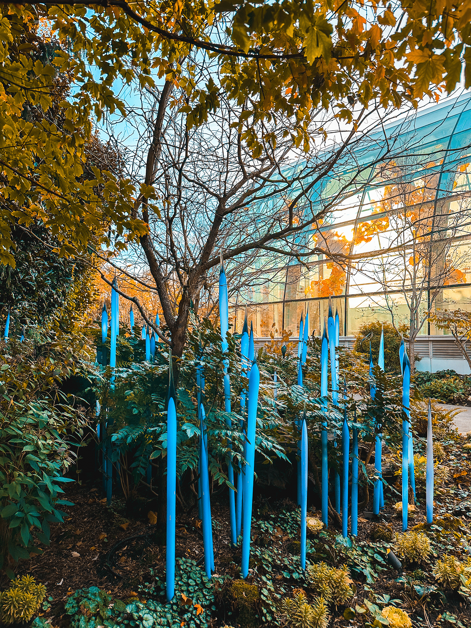 Taking Kids to Chihuly Garden and Glass? This Is What You Need to Know (Before You Panic) 5 Chihuly Garden and Glass in Seattle, WA