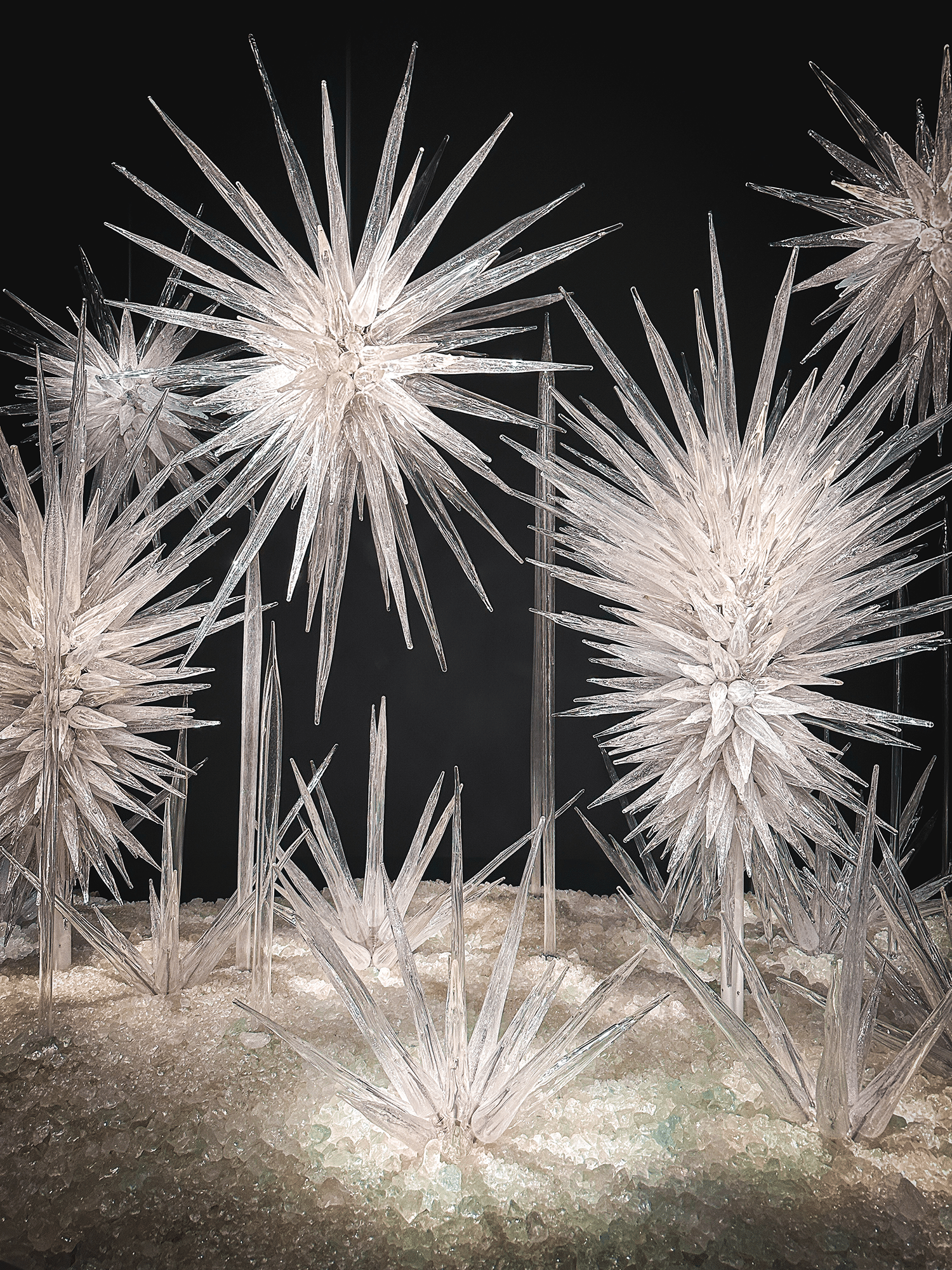 Taking Kids to Chihuly Garden and Glass? This Is What You Need to Know (Before You Panic) 7 Chihuly Garden and Glass in Seattle, WA