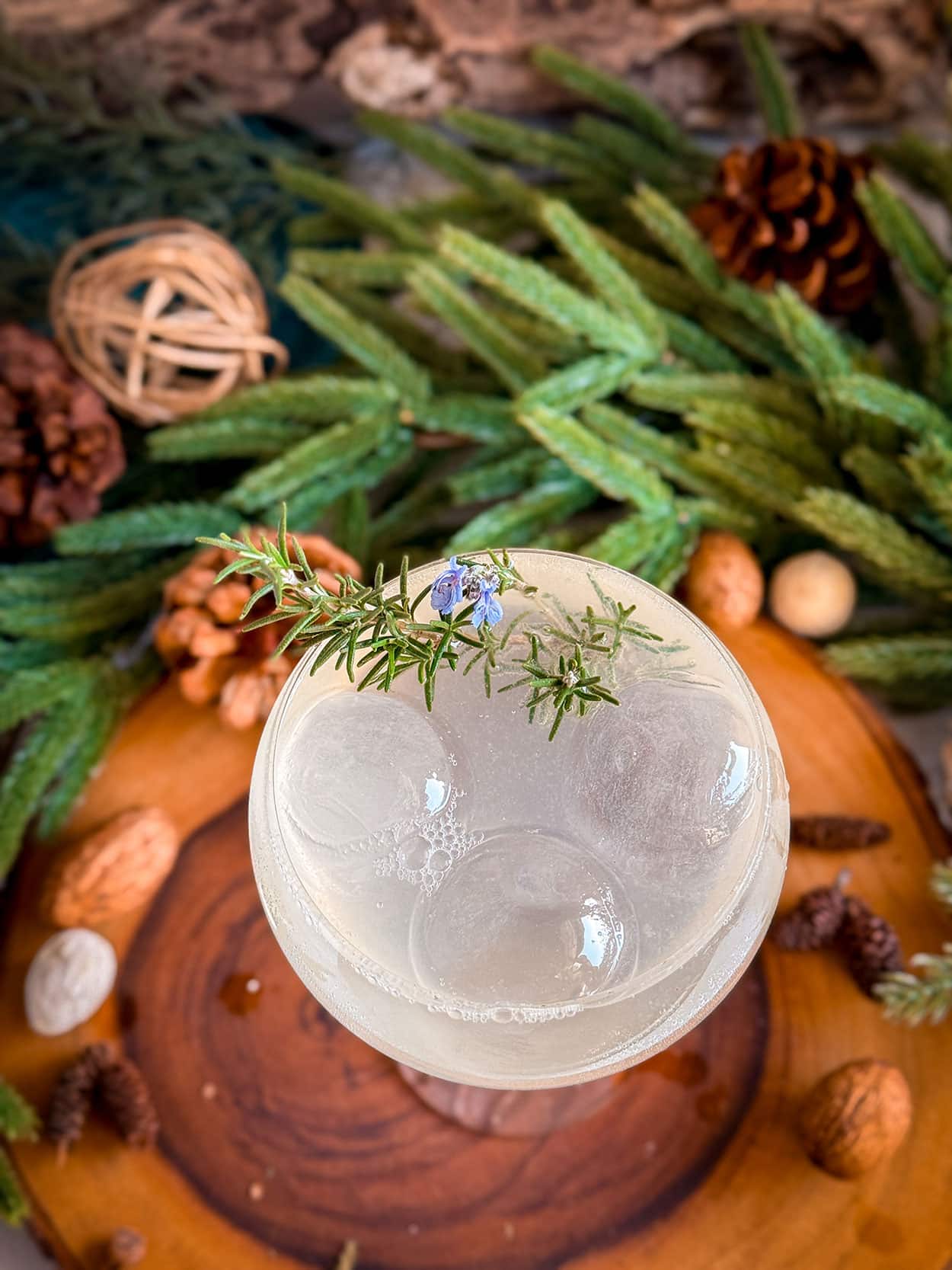 Elderflower Pine Spritz 6 Elderflower Winter Woods Spritz cocktail recipe