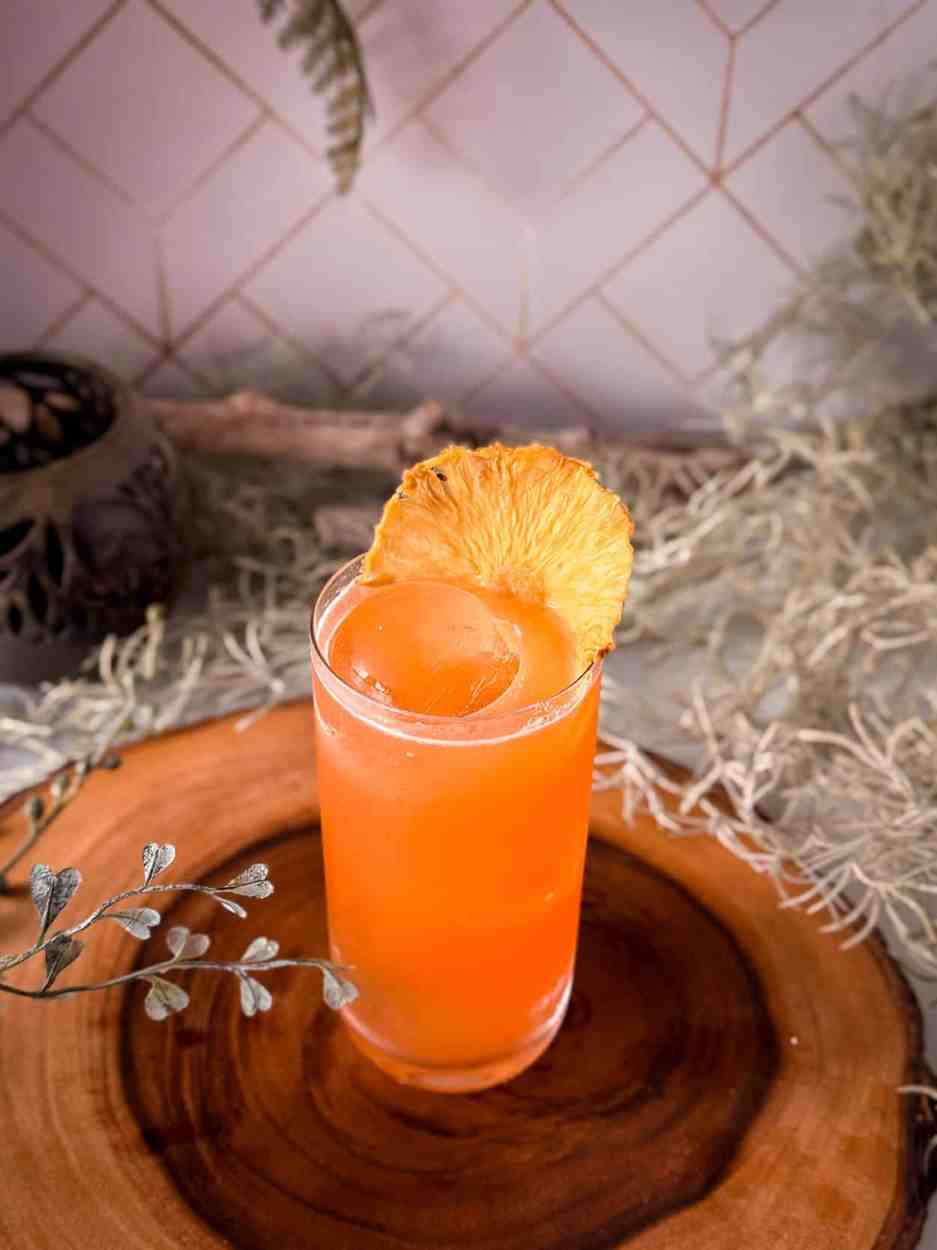 Cactus Cooler Collins 3 Cactus Cooler Collins cocktail recipe