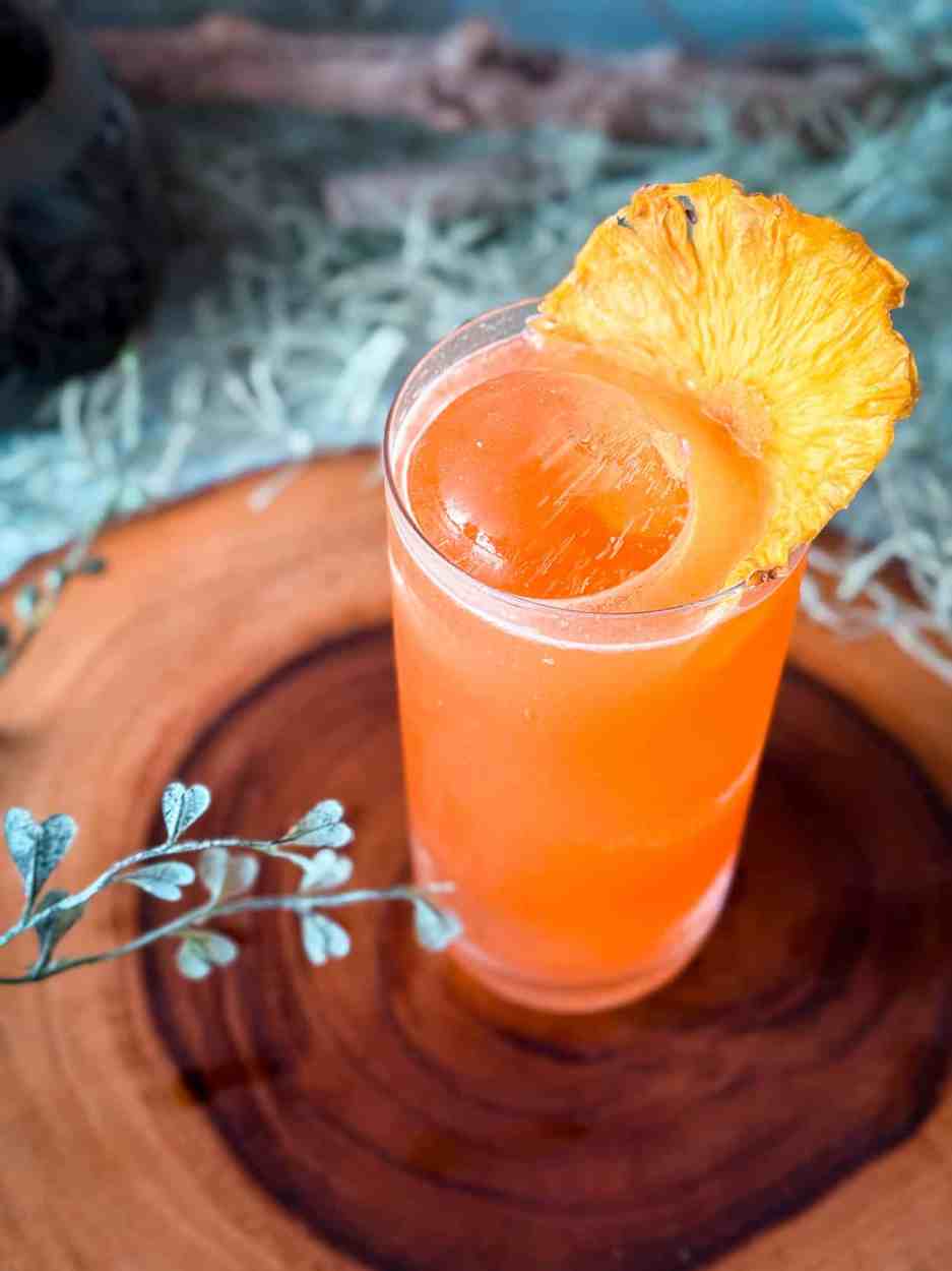 Cactus Cooler Collins 4 Cactus Cooler Collins cocktail recipe