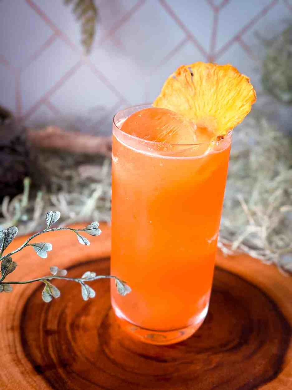 Cactus Cooler Collins 1 Cactus Cooler Collins cocktail recipe