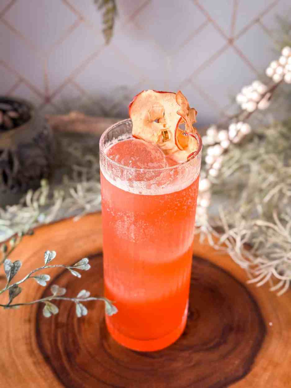 Cactus Orchard Fizz 4 Cactus Orchard Fizz cocktail recipe